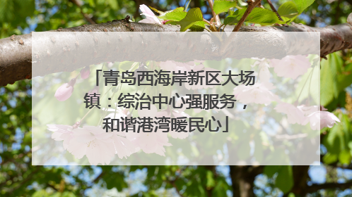 青岛西海岸新区大场镇：综治中心强服务，和谐港湾暖民心